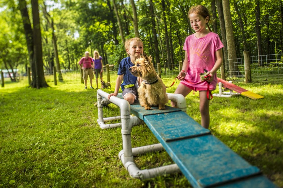 Stay at a dog friendly RV campground