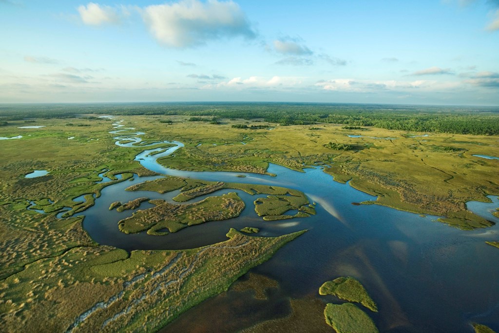 An aerial view of the Florida Everglades with rich green marshland among waterways.