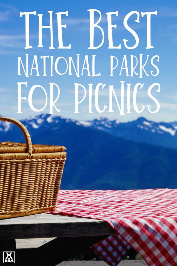 There are few spots better for picnics than our scenic national parks. From soaring mountains to pristine coast lines, these spots are perfect for a noshing in nature. If you’re looking to do a little hike with a picnic basket in tow, here are some of the best national parks to visit this summer. 