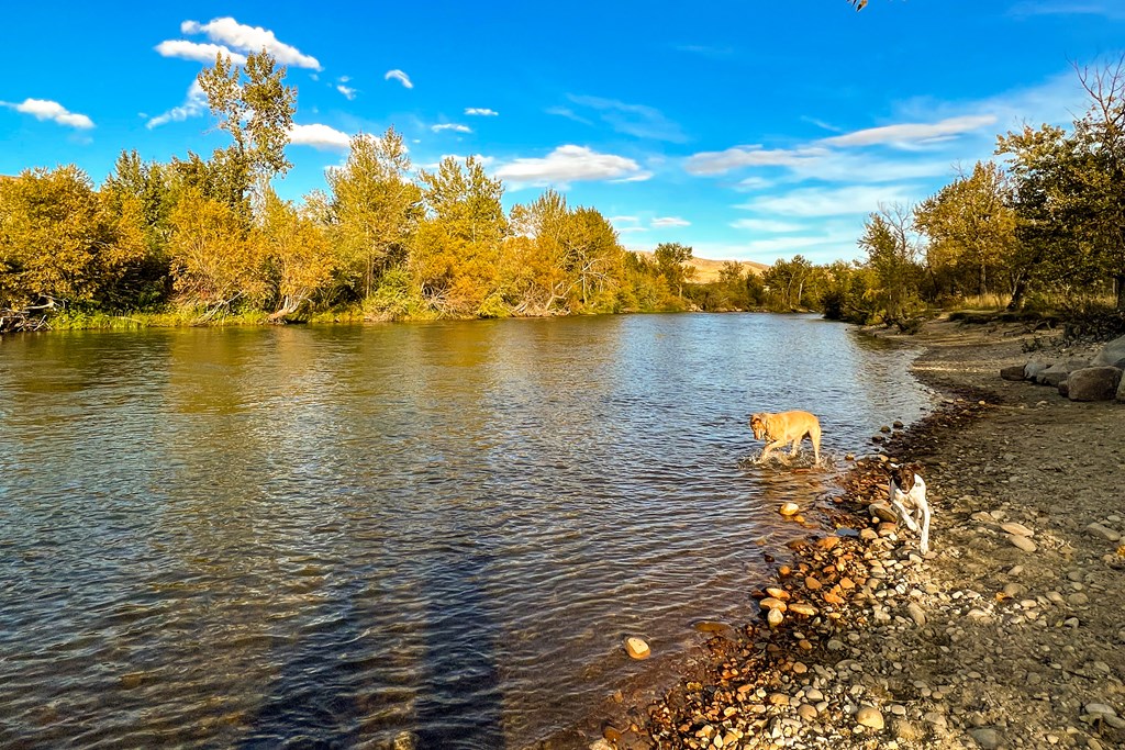 The Boise River in Barber Park.