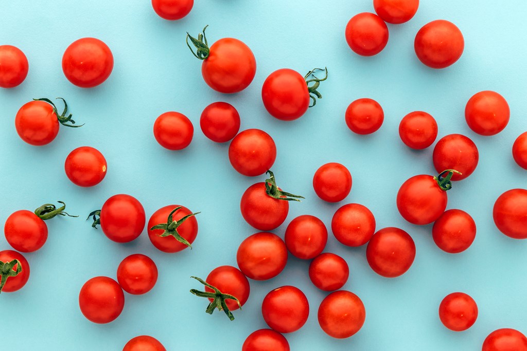 Colorful organic cherry tomatoes on a blue background.