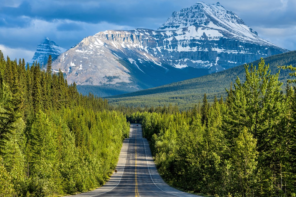 A Spring evening view of Icefields Parkway running through dense forest at base of Mount Sarbach, Banff National Park, AB, Canada.