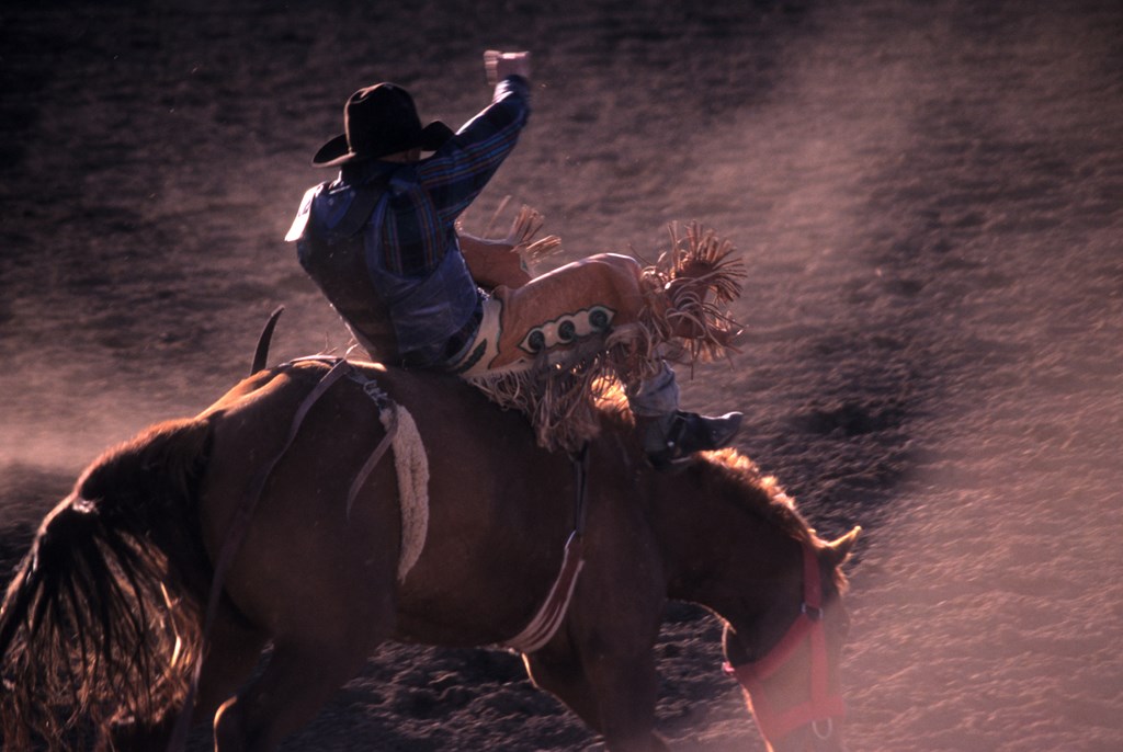 Cowboy taking a wild ride on a bucking horse at a rodeo. Afternoon sun illuminates swirling dust thrown by the kicking bronco.