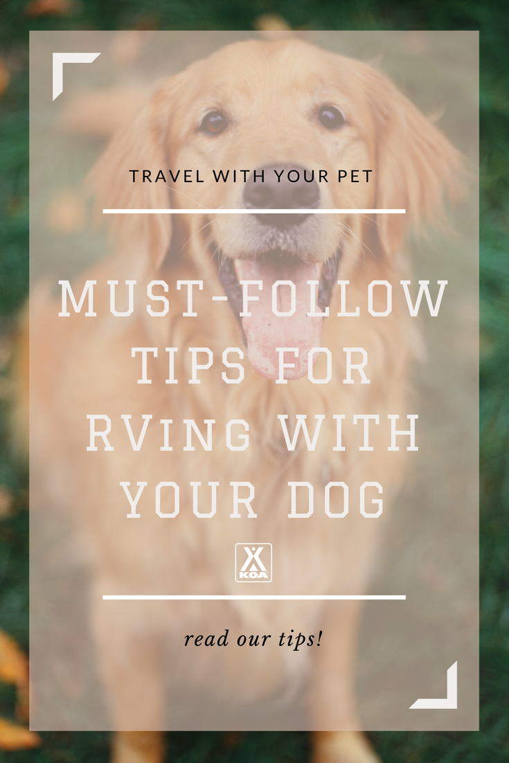 Don't stress RVing with your pet!