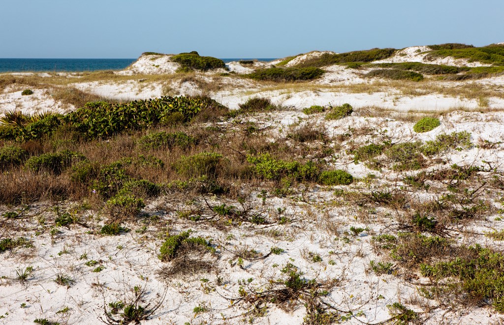 Looking over the sand dunes along the gulf beaches at Topsail Hill Preserve State Park. 