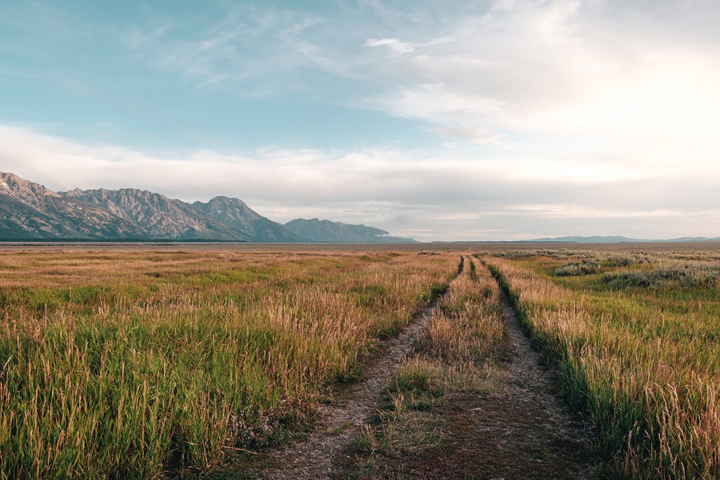 A gravel road through the open prairie grass off the Mormon Row Historical District in Grand Teton National Park, Wyoming, USA.