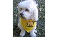 Come meet our campground host