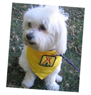 Come meet our campground host