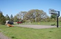 Enjoy a Game of Hoops