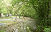 Switzer Creek