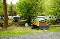 Tent Site