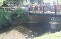 Duck Race