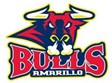 Amarillo Sox Professional Baseball, Amarillo Bulls Professional Ice Hockey, and Amarillo Venom Football Photo