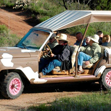 Elkins Ranch Jeep Tours