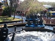 Wonderland Amusement Park Photo