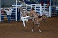 Coors Cowboy Club Ranch Rodeo ~ June 1 & 2, 2012 Photo