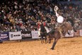 World Championship Ranch Rodeo (WRCA) ~ November 8 through November 11, 2012 Photo