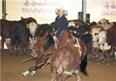 West Texas Cutting Horse Futurity ~ August 11, 2012 through August 19, 2012 Photo