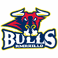 Amarillo Bulls Ice Hockey ~ Mid-September to April Photo