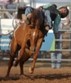Range Riders Rodeo ~ July 5th through July 7th, 2012 Photo