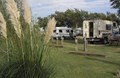 Grassy/Shaded Sites
