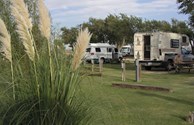 Grassy/Shaded Sites