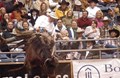 See Real Cowboys in Amarillo Texas