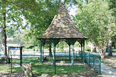Williamston Spring Water Festival August 24-25, 2012 Photo