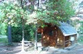 One Room Camping Cabin