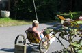 Rental Bikes