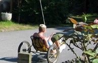 Rental Bikes