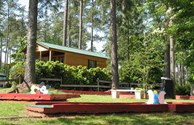 Mini-golf