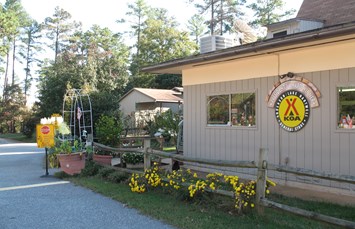 South Carolina Camping Locations Koa Campgrounds