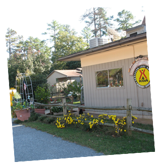 General Store