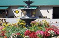 Beautiful Fountain and Flowers