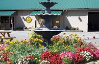 Beautiful Fountain and Flowers