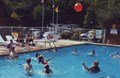 Pool Playtime
