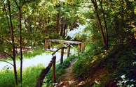 One of our Trails