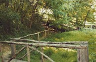 Walking Trail on the Campground