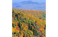 Fall in the Blue Ridge Mountains