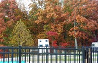 Enjoy any season of color