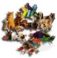 Pet-tacular Fun Photo
