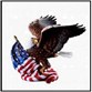 4th of July Photo