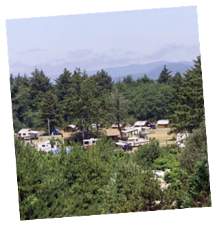 We have open and shady sites!