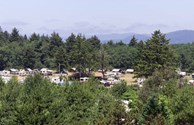 We have open and shady sites!