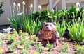 Welcome Flowers
