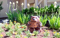 Welcome Flowers