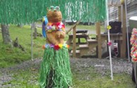 Hula Bear