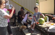 "Pumpkin" Carving in August!