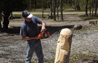 Chainsaw Art